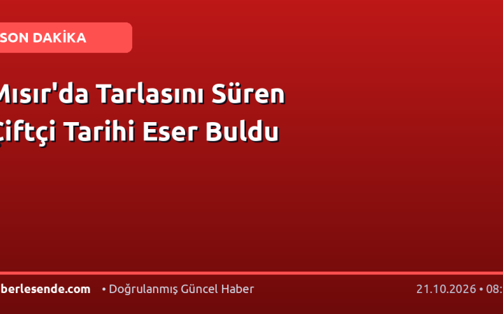 Mısır'da Tarlasını Süren Çiftçi Tarihi Eser Buldu