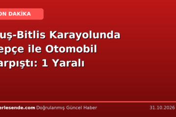 Muş-Bitlis Karayolunda Kepçe ile Otomobil Çarpıştı: 1 Yaralı