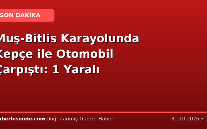 Muş-Bitlis Karayolunda Kepçe ile Otomobil Çarpıştı: 1 Yaralı