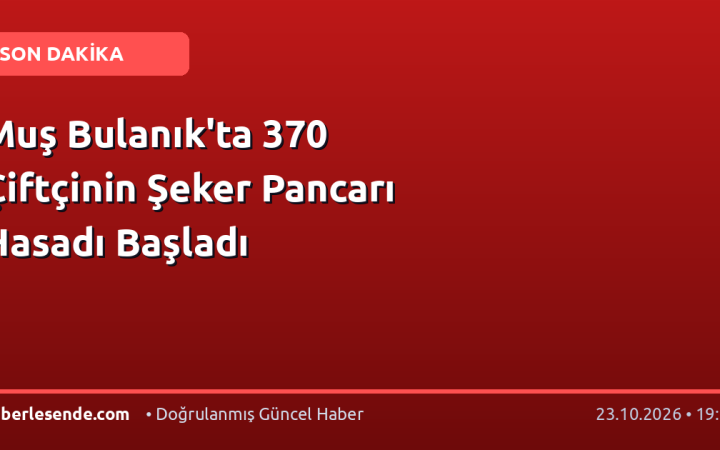 Muş Bulanık'ta 370 Çiftçinin Şeker Pancarı Hasadı Başladı