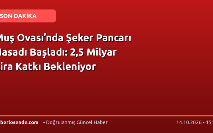 Muş Ovası’nda Şeker Pancarı Hasadı Başladı: 2,5 Milyar Lira Katkı Bekleniyor