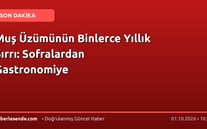 Muş Üzümünün Binlerce Yıllık Sırrı: Sofralardan Gastronomiye