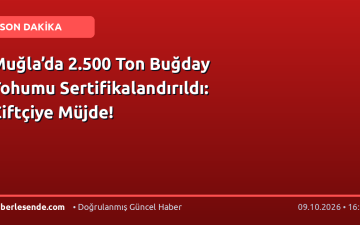 Muğla’da 2.500 Ton Buğday Tohumu Sertifikalandırıldı: Çiftçiye Müjde!