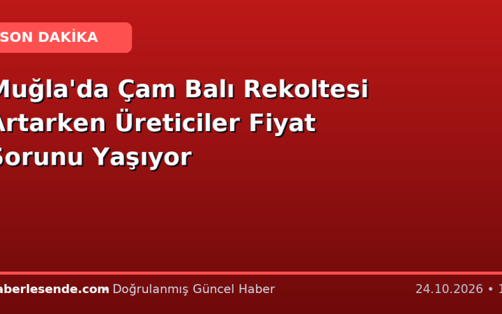 Muğla'da Çam Balı Rekoltesi Artarken Üreticiler Fiyat Sorunu Yaşıyor