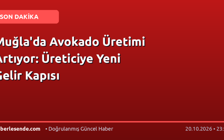 Muğla'da Avokado Üretimi Artıyor: Üreticiye Yeni Gelir Kapısı