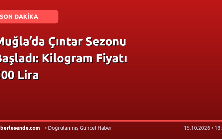 Muğla’da Çıntar Sezonu Başladı: Kilogram Fiyatı 500 Lira