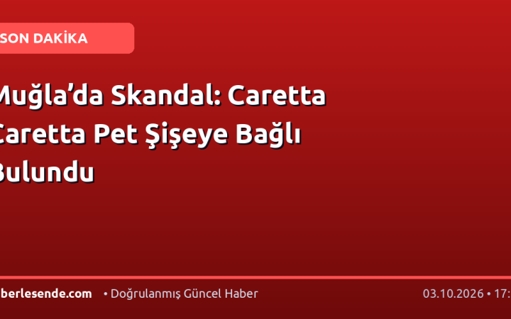 Muğla’da Skandal: Caretta Caretta Pet Şişeye Bağlı Bulundu