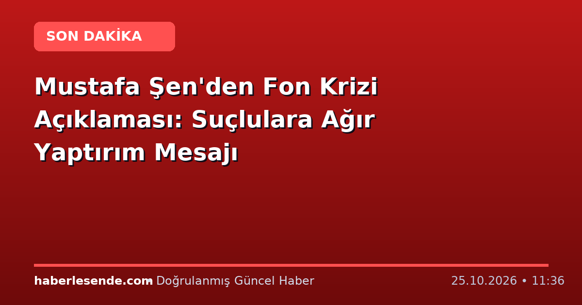Mustafa Şen'den Fon Krizi Açıklaması: Suçlulara Ağır Yaptırım Mesajı