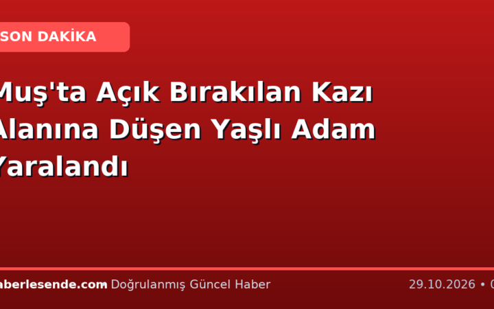 Muş'ta Açık Bırakılan Kazı Alanına Düşen Yaşlı Adam Yaralandı