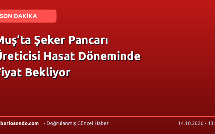 Muş’ta Şeker Pancarı Üreticisi Hasat Döneminde Fiyat Bekliyor