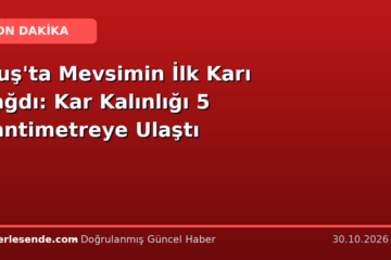 Muş'ta Mevsimin İlk Karı Yağdı: Kar Kalınlığı 5 Santimetreye Ulaştı