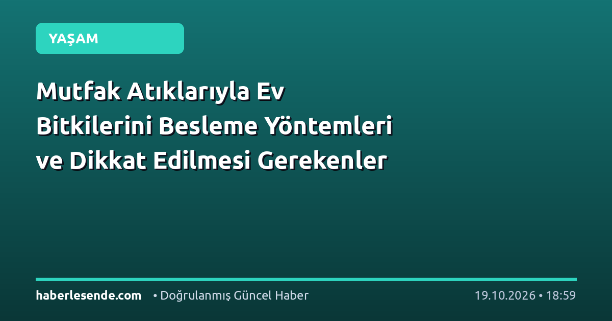 Mutfak Atıklarıyla Ev Bitkilerini Besleme Yöntemleri ve Dikkat Edilmesi Gerekenler