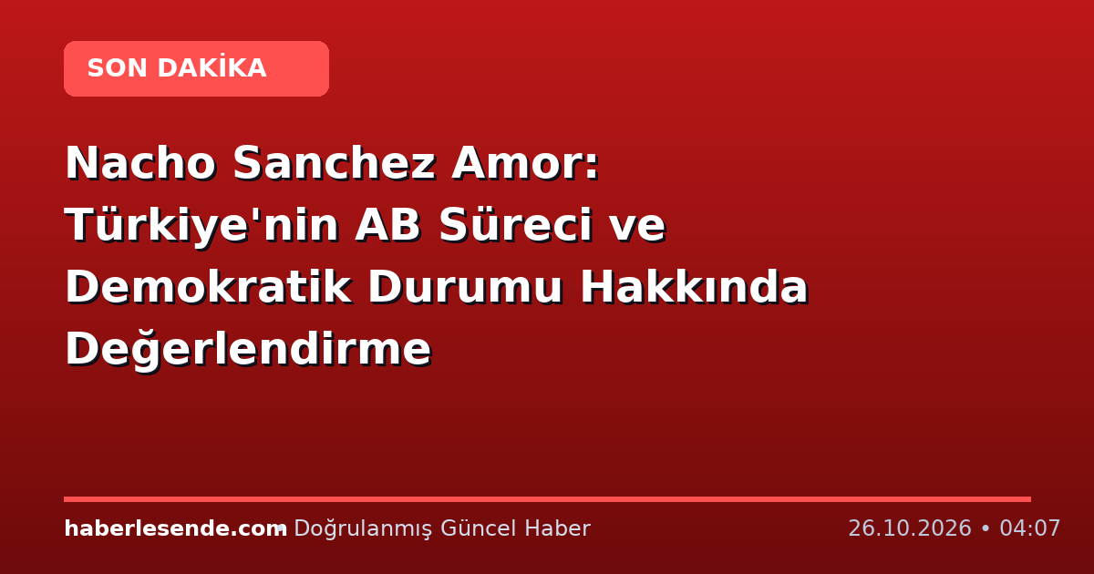 Nacho Sanchez Amor: Türkiye'nin AB Süreci ve Demokratik Durumu Hakkında Değerlendirme