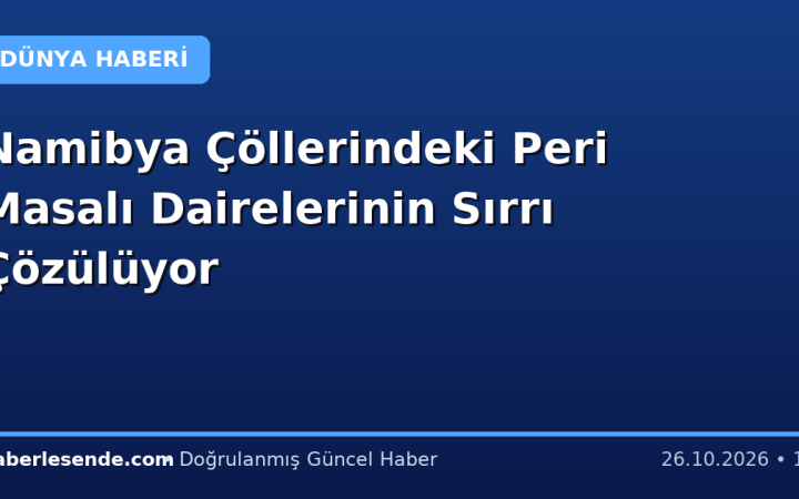 Namibya Çöllerindeki Peri Masalı Dairelerinin Sırrı Çözülüyor