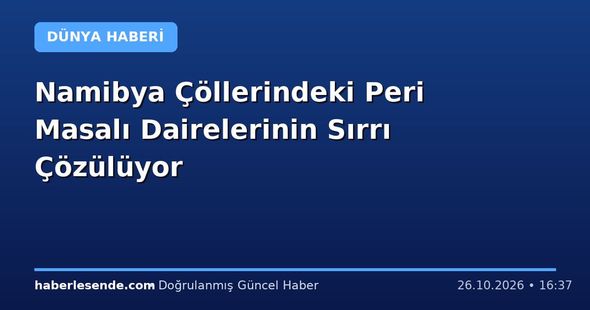 Namibya Çöllerindeki Peri Masalı Dairelerinin Sırrı Çözülüyor