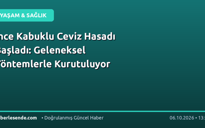 İnce Kabuklu Ceviz Hasadı Başladı: Geleneksel Yöntemlerle Kurutuluyor