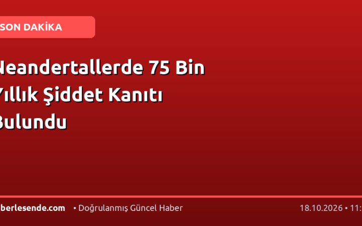 Neandertallerde 75 Bin Yıllık Şiddet Kanıtı Bulundu