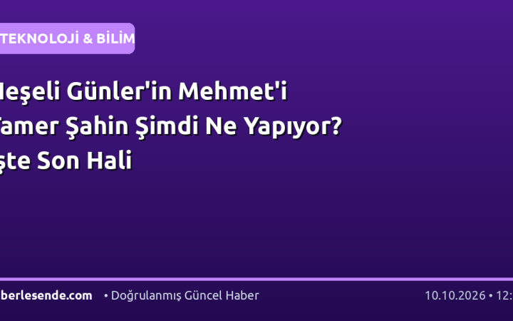 Neşeli Günler'in Mehmet'i Tamer Şahin Şimdi Ne Yapıyor? İşte Son Hali