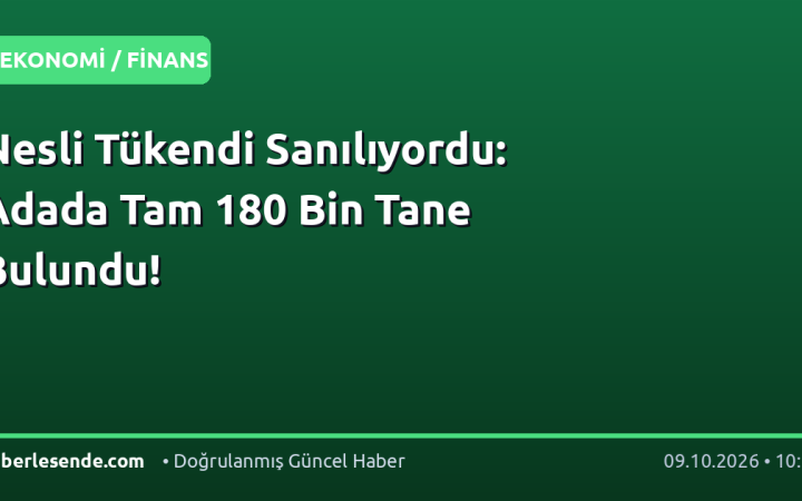 Nesli Tükendi Sanılıyordu: Adada Tam 180 Bin Tane Bulundu!