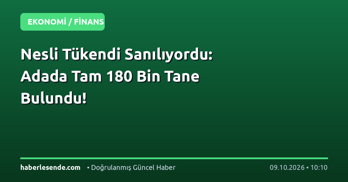 Nesli Tükendi Sanılıyordu: Adada Tam 180 Bin Tane Bulundu!