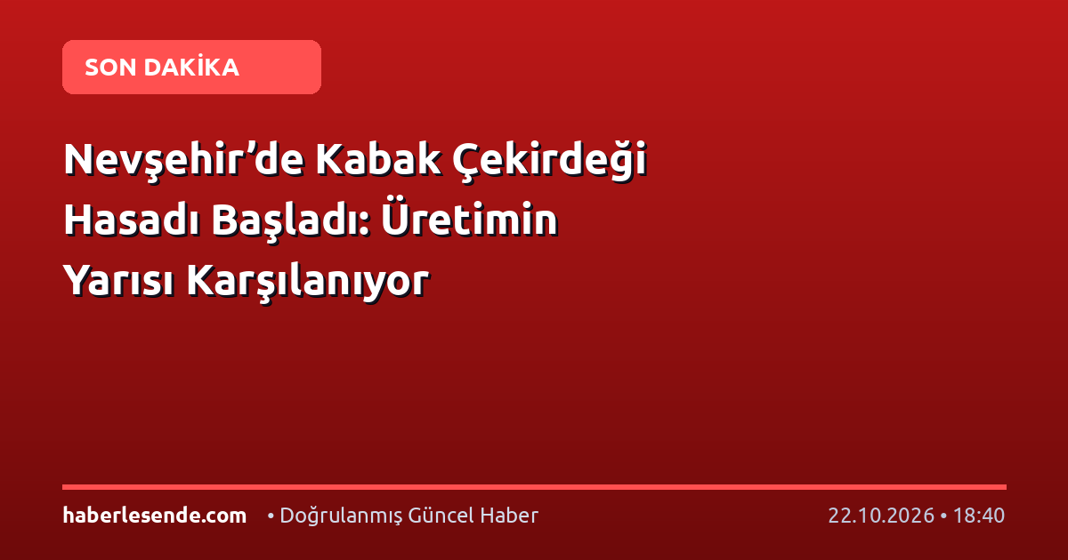 Nevşehir’de Kabak Çekirdeği Hasadı Başladı: Üretimin Yarısı Karşılanıyor