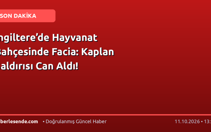 İngiltere’de Hayvanat Bahçesinde Facia: Kaplan Saldırısı Can Aldı!