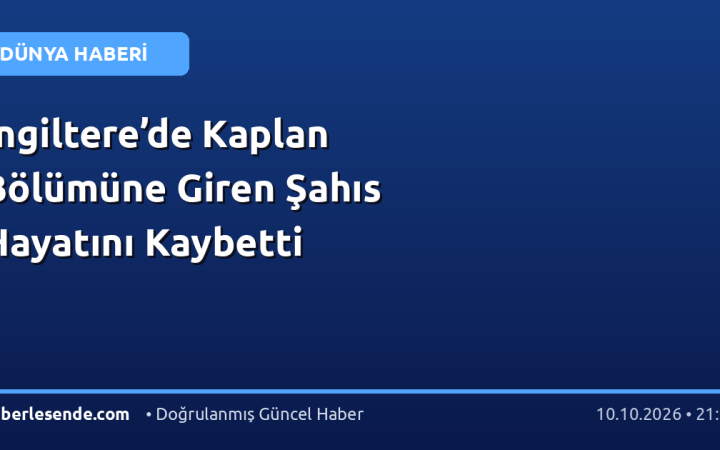 İngiltere’de Kaplan Bölümüne Giren Şahıs Hayatını Kaybetti