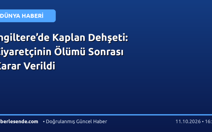 İngiltere’de Kaplan Dehşeti: Ziyaretçinin Ölümü Sonrası Karar Verildi