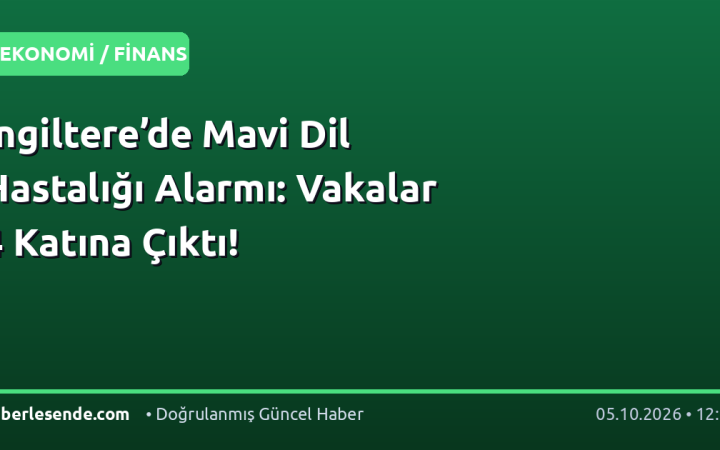 İngiltere’de Mavi Dil Hastalığı Alarmı: Vakalar 4 Katına Çıktı!