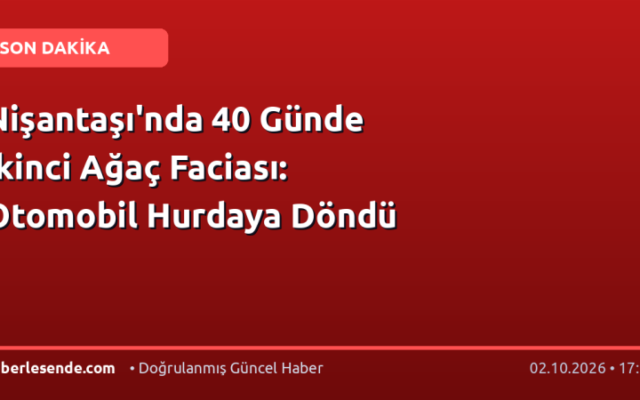 Nişantaşı'nda 40 Günde İkinci Ağaç Faciası: Otomobil Hurdaya Döndü
