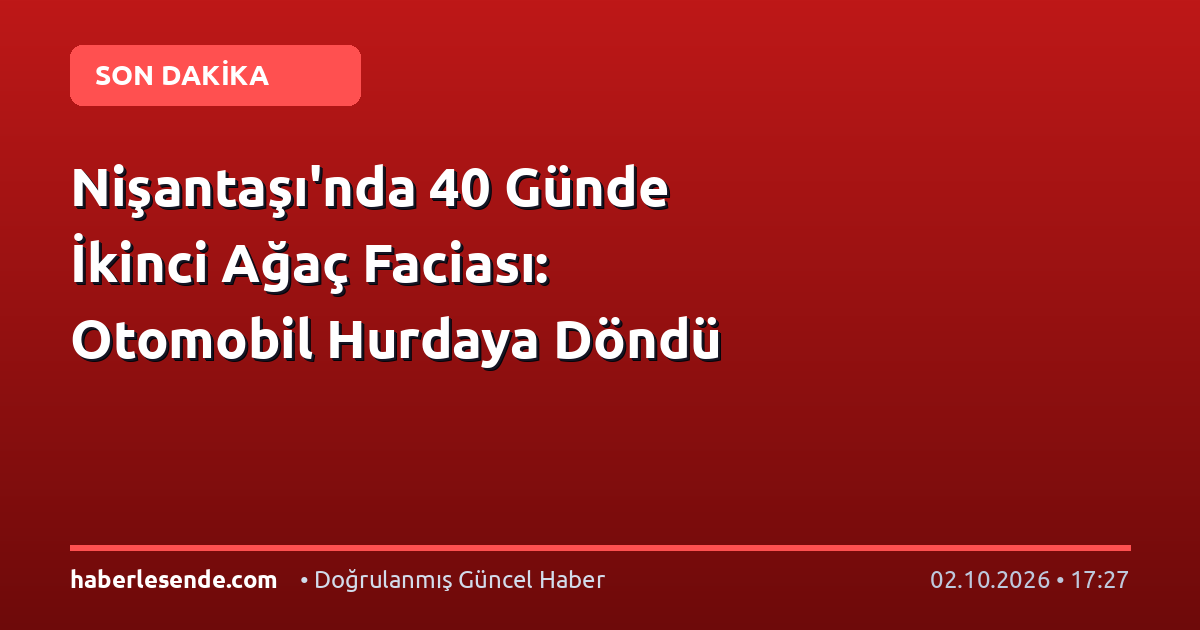 Nişantaşı'nda 40 Günde İkinci Ağaç Faciası: Otomobil Hurdaya Döndü