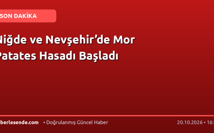 Niğde ve Nevşehir’de Mor Patates Hasadı Başladı