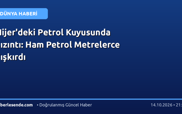 Nijer'deki Petrol Kuyusunda Sızıntı: Ham Petrol Metrelerce Fışkırdı