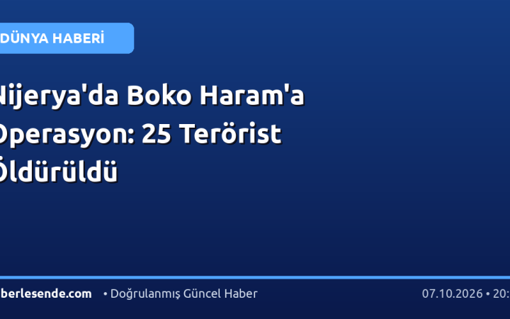 Nijerya'da Boko Haram'a Operasyon: 25 Terörist Öldürüldü