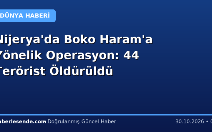 Nijerya'da Boko Haram'a Yönelik Operasyon: 44 Terörist Öldürüldü