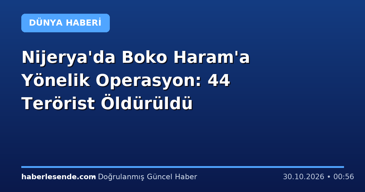 Nijerya'da Boko Haram'a Yönelik Operasyon: 44 Terörist Öldürüldü