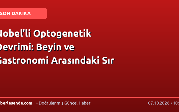 Nobel’li Optogenetik Devrimi: Beyin ve Gastronomi Arasındaki Sır