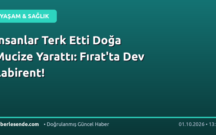 İnsanlar Terk Etti Doğa Mucize Yarattı: Fırat'ta Dev Labirent!