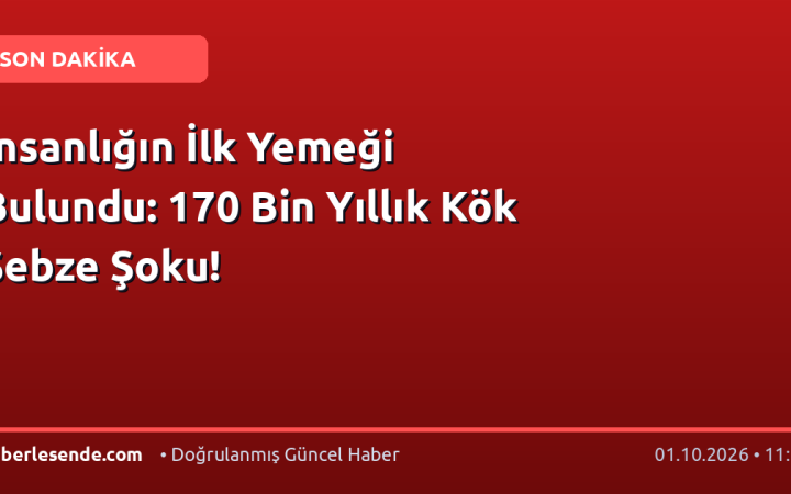 İnsanlığın İlk Yemeği Bulundu: 170 Bin Yıllık Kök Sebze Şoku!