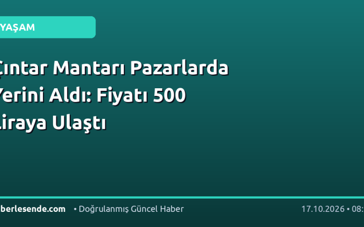 Çıntar Mantarı Pazarlarda Yerini Aldı: Fiyatı 500 Liraya Ulaştı