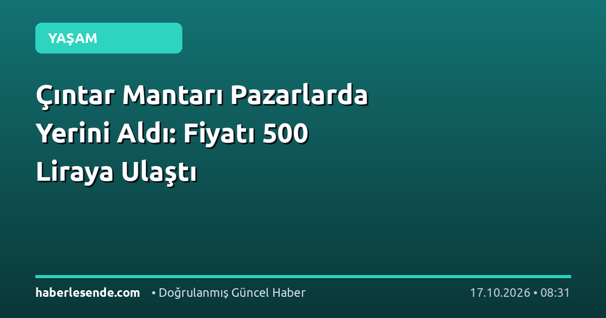 Çıntar Mantarı Pazarlarda Yerini Aldı: Fiyatı 500 Liraya Ulaştı