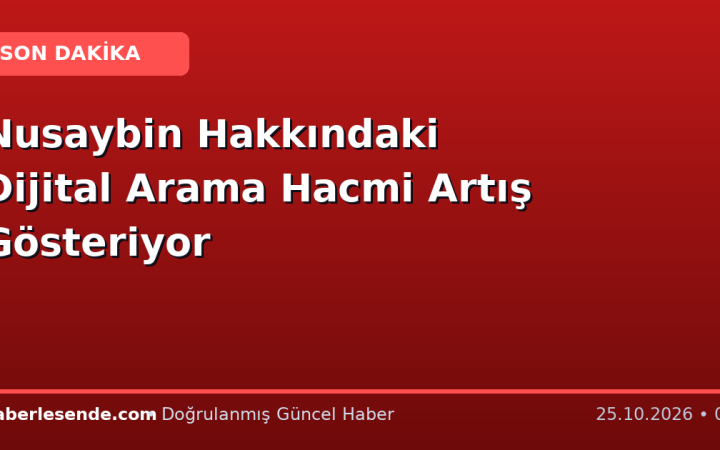 Nusaybin Hakkındaki Dijital Arama Hacmi Artış Gösteriyor