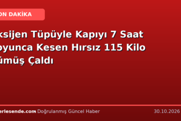 Oksijen Tüpüyle Kapıyı 7 Saat Boyunca Kesen Hırsız 115 Kilo Gümüş Çaldı