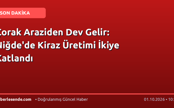 Çorak Araziden Dev Gelir: Niğde'de Kiraz Üretimi İkiye Katlandı