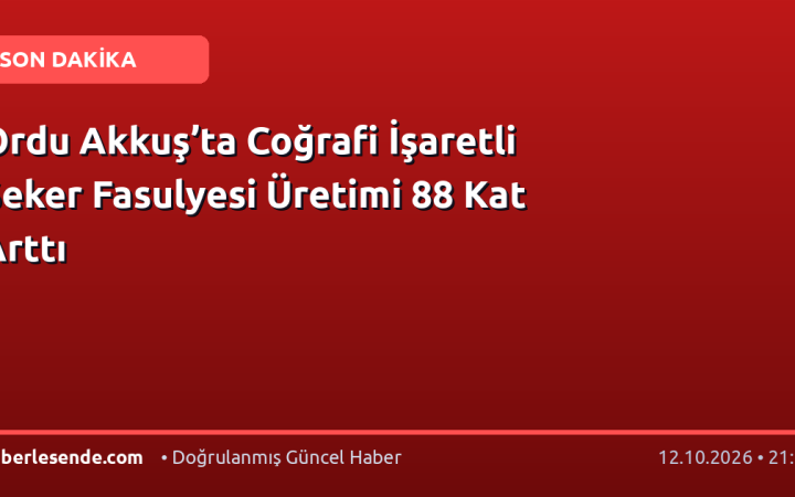 Ordu Akkuş’ta Coğrafi İşaretli Şeker Fasulyesi Üretimi 88 Kat Arttı