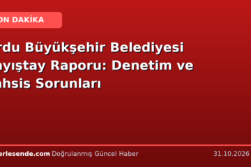 Ordu Büyükşehir Belediyesi Sayıştay Raporu: Denetim ve Tahsis Sorunları