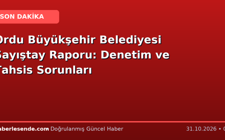 Ordu Büyükşehir Belediyesi Sayıştay Raporu: Denetim ve Tahsis Sorunları