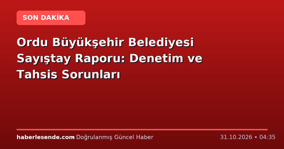 Ordu Büyükşehir Belediyesi Sayıştay Raporu: Denetim ve Tahsis Sorunları