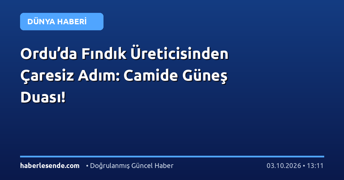 Ordu’da Fındık Üreticisinden Çaresiz Adım: Camide Güneş Duası!