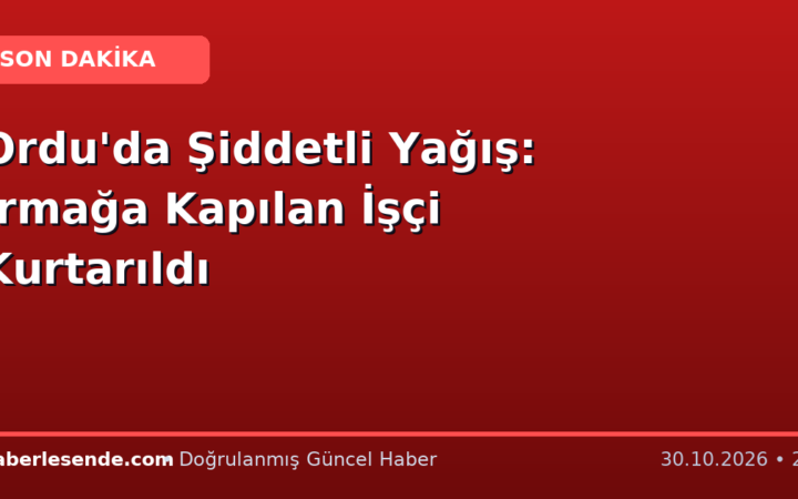 Ordu'da Şiddetli Yağış: Irmağa Kapılan İşçi Kurtarıldı